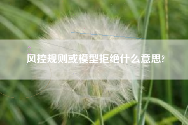 风控规则或模型拒绝什么意思?