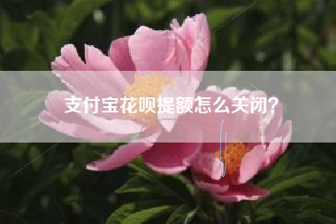 支付宝花呗提额怎么关闭？