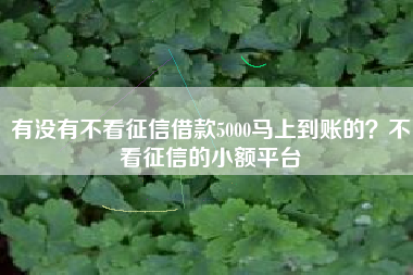 有没有不看征信借款5000马上到账的？不看征信的小额平台