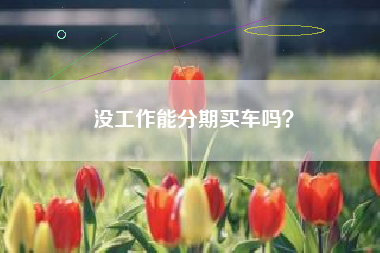 没工作能分期买车吗？