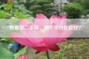 我要买二手房，哪个平台比较好？