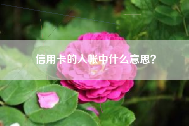 信用卡的入帐中什么意思？