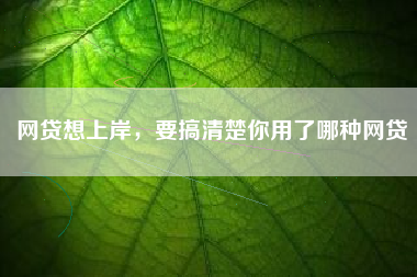 网贷想上岸，要搞清楚你用了哪种网贷