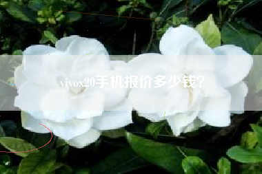 vivox20手机报价多少钱？