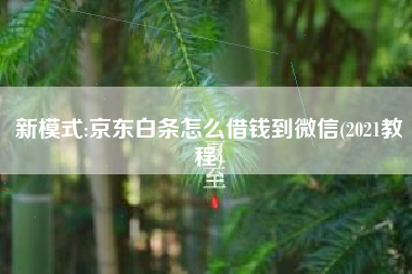 新模式:京东白条怎么借钱到微信(2021教程)