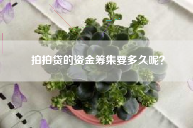 拍拍贷的资金筹集要多久呢？