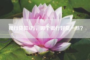 银行贷款6万，哪个银行好贷一些？