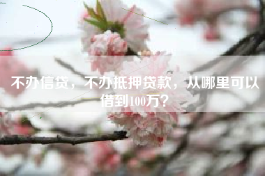 不办信贷，不办抵押贷款，从哪里可以借到100万？