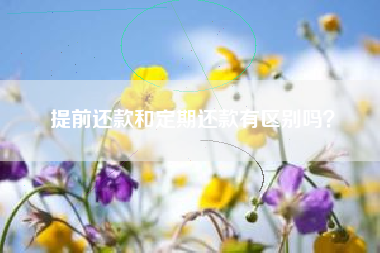 提前还款和定期还款有区别吗？