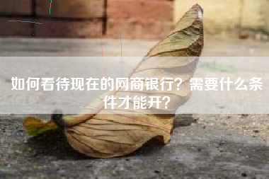 如何看待现在的网商银行？需要什么条件才能开？