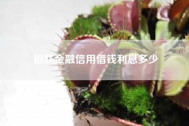 招联金融信用借钱利息多少