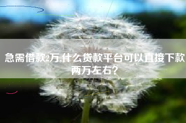 急需借款2万,什么贷款平台可以直接下款两万左右？