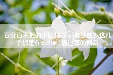 百分百不拒的小额贷款app有哪些？这几个都是在2022100%通过率的网贷
