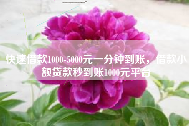 快速借款1000-5000元一分钟到账，借款小额贷款秒到账1000元平台