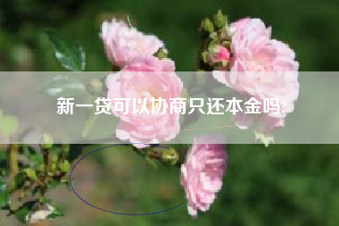 新一贷可以协商只还本金吗?
