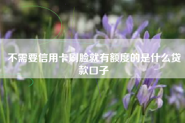 不需要信用卡刷脸就有额度的是什么贷款口子