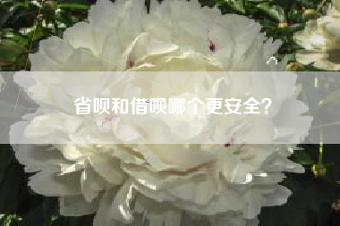 省呗和借呗哪个更安全？