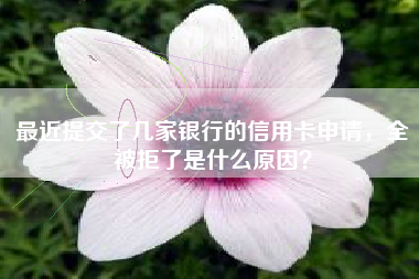 最近提交了几家银行的信用卡申请，全被拒了是什么原因？