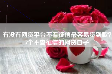 有没有网贷平台不看征信最容易贷到款？5个不查征信的网贷口子