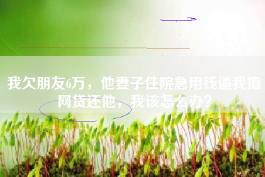 我欠朋友6万，他妻子住院急用钱逼我撸网贷还他，我该怎么办？
