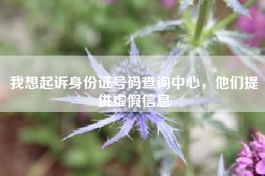 我想起诉身份证号码查询中心，他们提供虚假信息