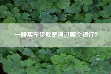 一般买车贷款是通过哪个银行？
