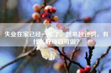 失业在家已经一年了，越来越迷惘，有什么好项目可做？