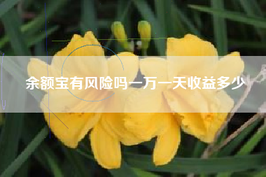 余额宝有风险吗一万一天收益多少