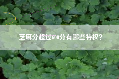 芝麻分超过600分有哪些特权？