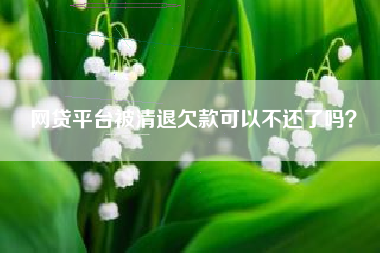 网贷平台被清退欠款可以不还了吗？