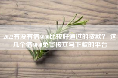 2022有没有借5000比较好通过的贷款？ 这几个借5000免审核立马下款的平台