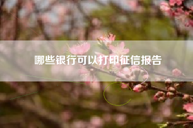 哪些银行可以打印征信报告