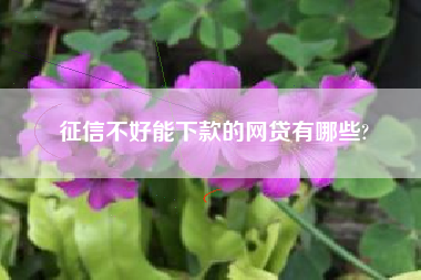 征信不好能下款的网贷有哪些?