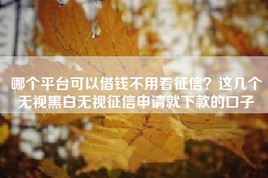 哪个平台可以借钱不用看征信？这几个无视黑白无视征信申请就下款的口子