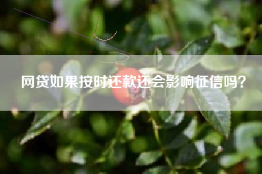 网贷如果按时还款还会影响征信吗？