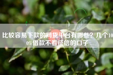 比较容易下款的网贷平台有哪些？几个100%借款不看征信的口子