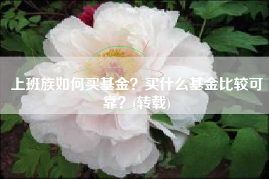 上班族如何买基金？买什么基金比较可靠？(转载)