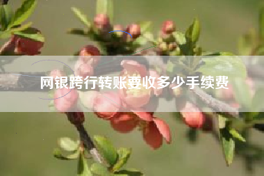 网银跨行转账要收多少手续费