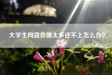 大学生网贷负债太多还不上怎么办？