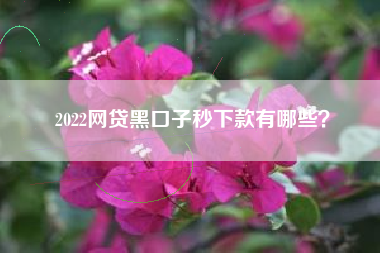 2022网贷黑口子秒下款有哪些？