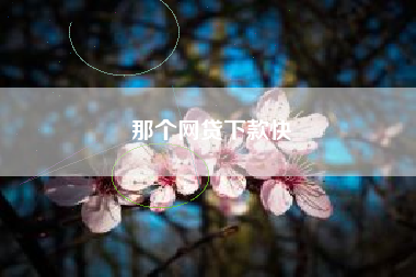 那个网贷下款快