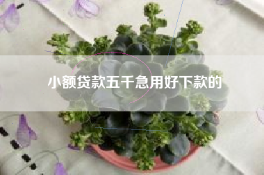 小额贷款五千急用好下款的