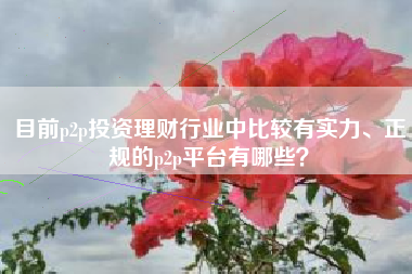 目前p2p投资理财行业中比较有实力、正规的p2p平台有哪些？