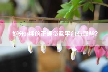 能分36期的正规贷款平台有哪些？