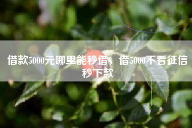 借款5000元哪里能秒借，借5000不看征信秒下款