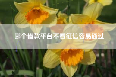 哪个借款平台不看征信容易通过