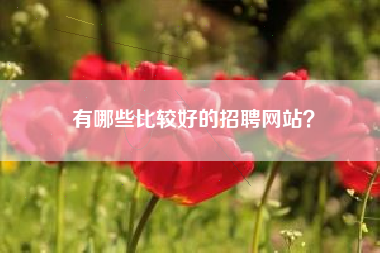 有哪些比较好的招聘网站？