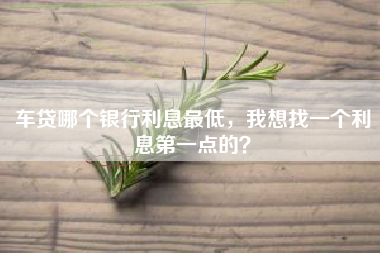 车贷哪个银行利息最低，我想找一个利息第一点的？