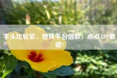手头比较紧，想找平台借款，点点APP靠谱?