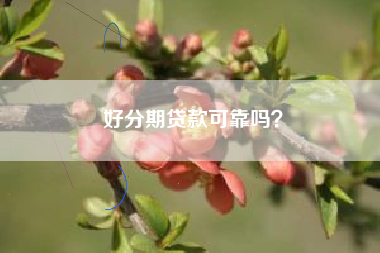 好分期贷款可靠吗？